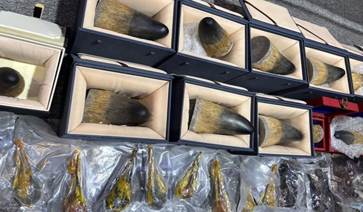 Klarifikasi Kuasa Hukum