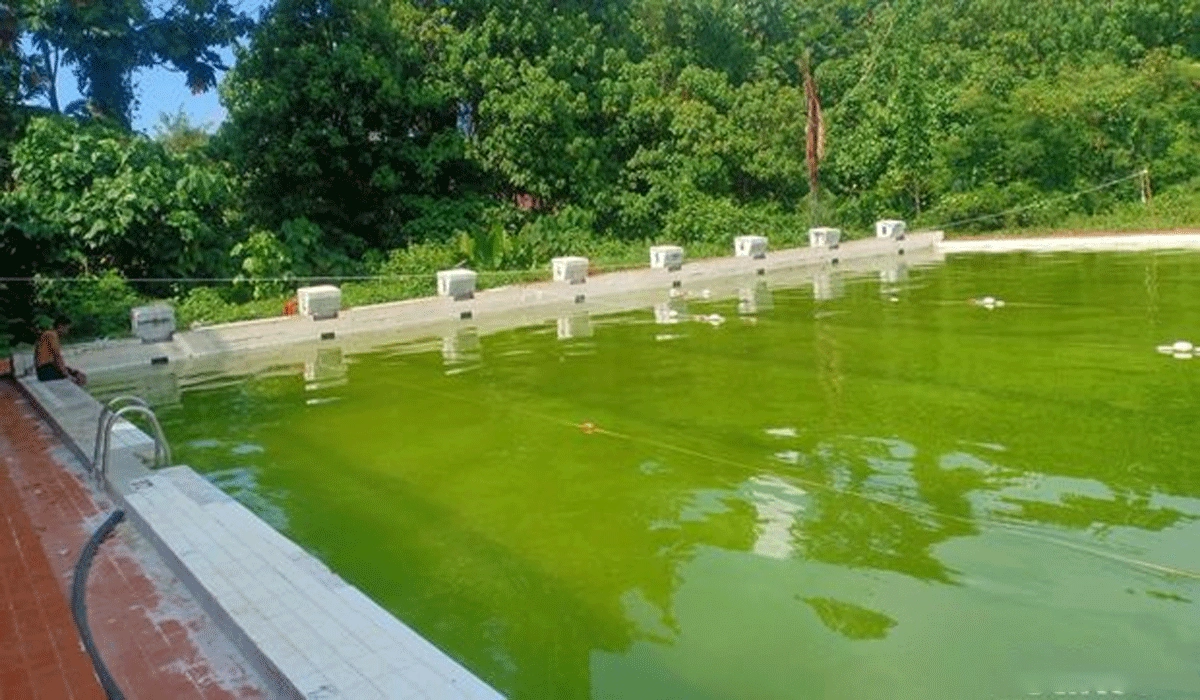 Peran Kolam Renang Dalam Pembinaan Atlet