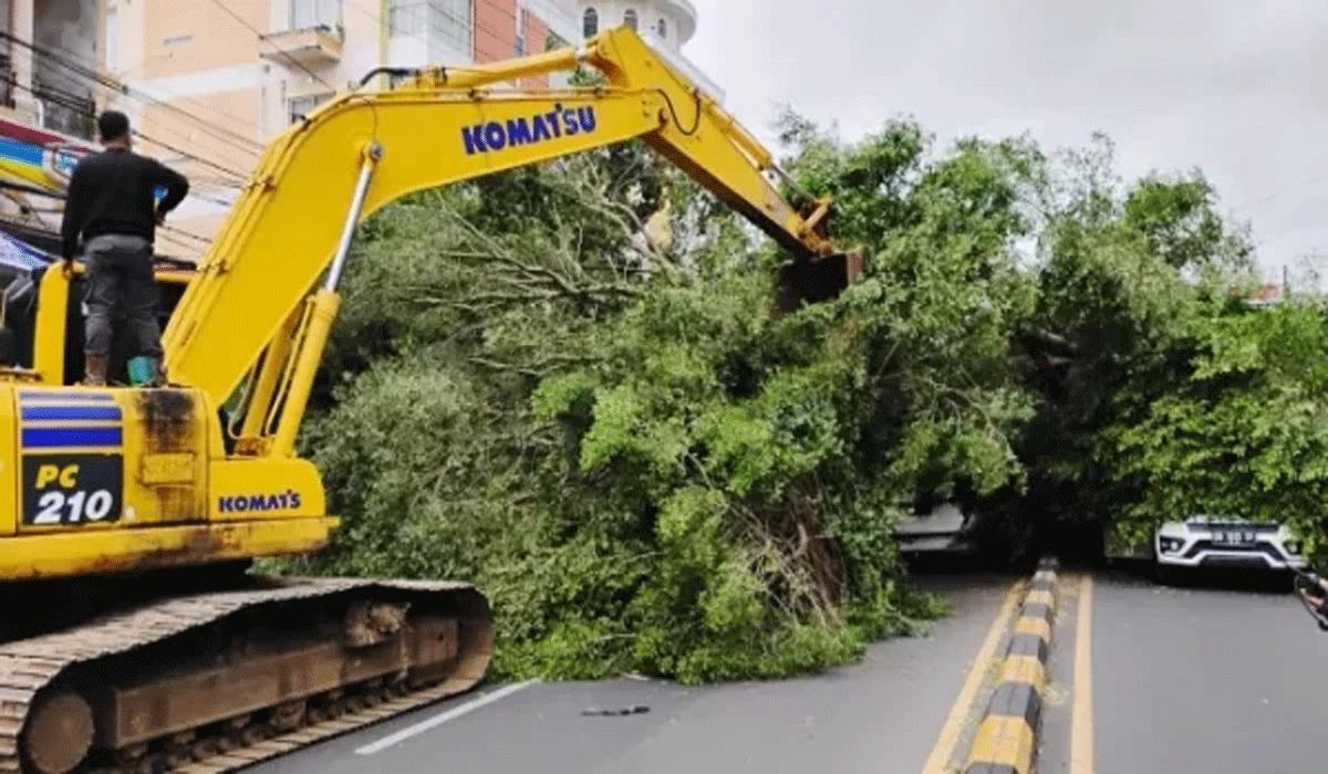 Pohon Tumbang Menimpa Mobil Di Malalayang Tanpa Menelan Korban Jiwa
