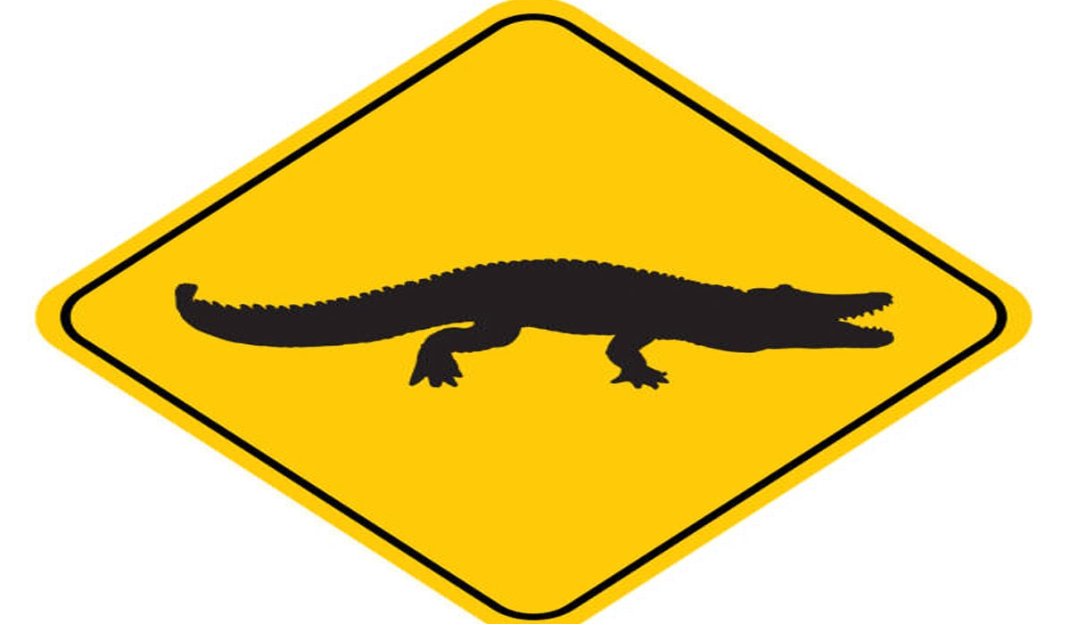 Cara Warga Mencegah Serangan Buaya