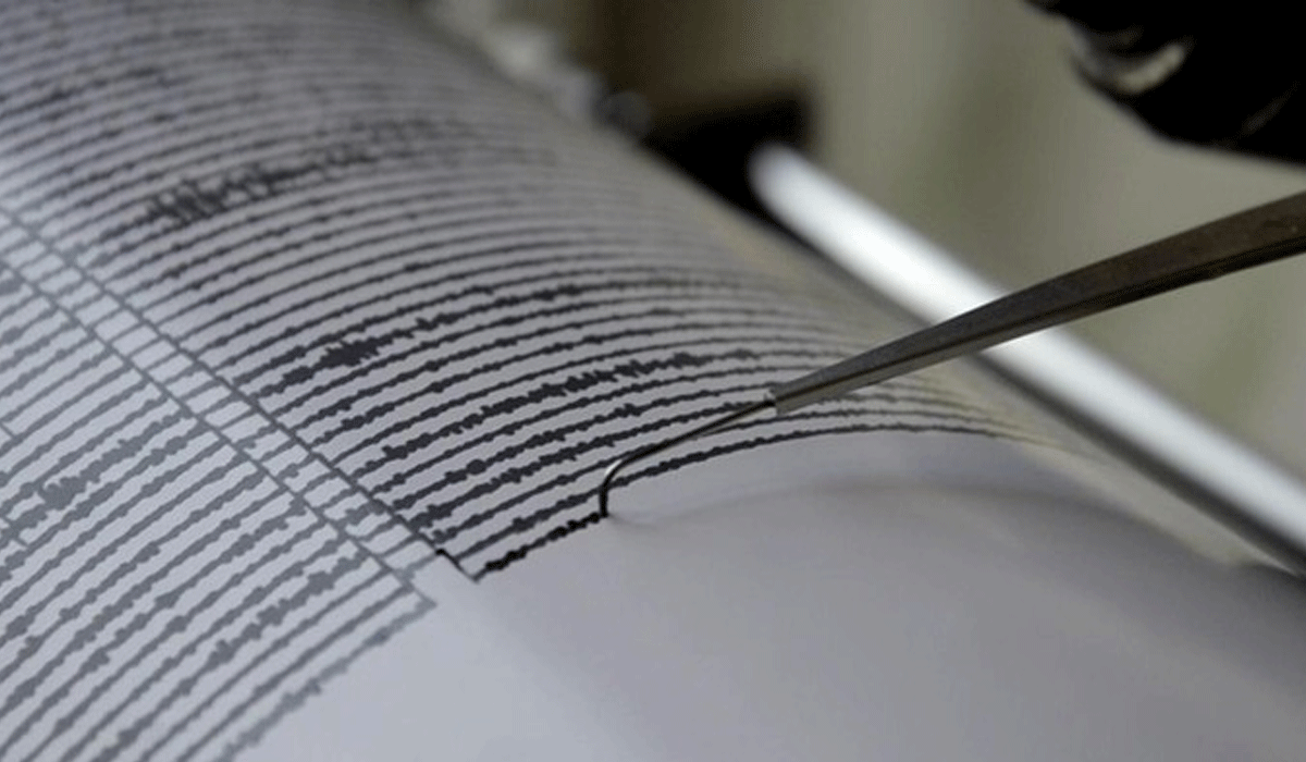 Gempa M 5,3 Guncang Halmahera Barat, Getaran Terasa hingga Manado
